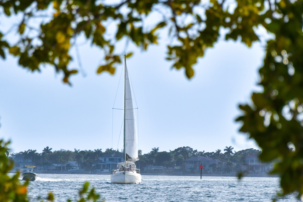 Sailboats