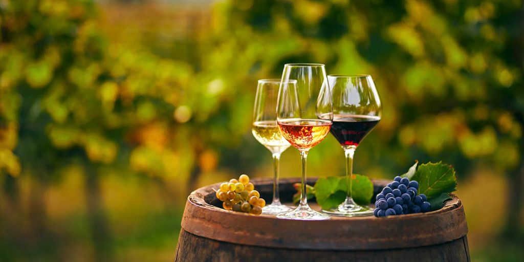 Major-and-Well-Known-Wine-Shops-in-Marbella